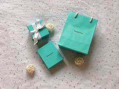 -Tiffany & Co.蒂芙尼
(南京德基广场店)