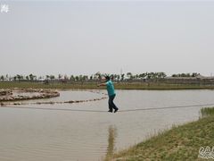-上海都市菜园