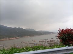 -花竹村