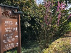 -清漾毛氏文化村
