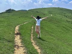 -大姆山草场