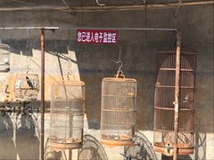 -临涣古城遗址