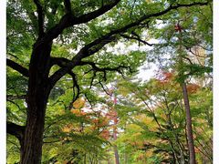 -轻井泽高原教堂