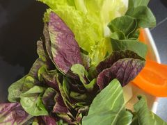-野菌皇海景野生菌火锅(滨海大道店)