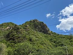 -大岭沟猕猴桃谷风景区