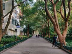 -杭州半山国家森林公园