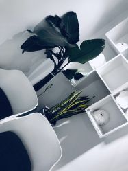 -紫御国际抗衰ZOE ANTI AGING