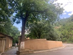 -延安杨家岭革命旧址