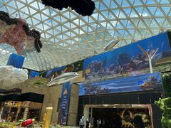 -视博茶点(美狮美高梅店)