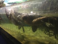 -苏州海洋馆