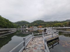 -红山村