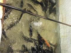 -华翔农庄(沙埔店)
