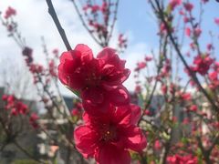 -乌山风景区