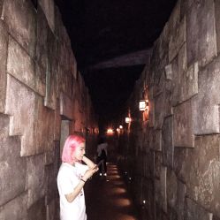 -翱翔飞越地平线