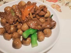 -虾饺妹·酒家(金碧店)