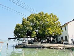 -东钱湖旅游度假区