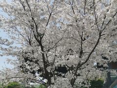 -玄武湖景区-情侣园游乐场