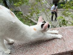 -泸州老窖景区