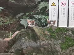 -台湾味正点车轮饼可丽饼(南禅寺店)