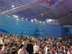 -烟台海昌鲸鲨海洋公园