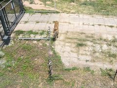 -深圳野生动物园