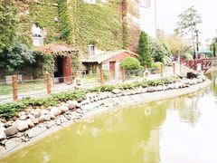-芭东小镇温泉