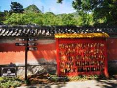 -阳台山自然风景区
