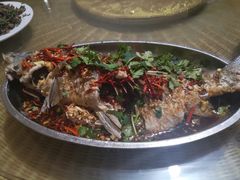 -向民炒鸡老店(火车站店)