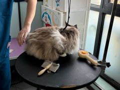 -嘉馨宠物医院·CT影像转诊·心脏科·犬猫全科诊疗中心(下沙大学城院区)