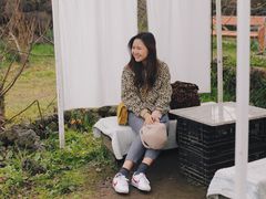 -柑橘农场