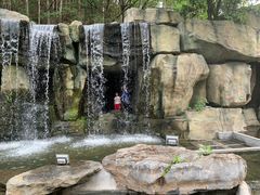 -顺峰山公园