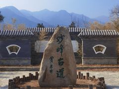 -阳台山自然风景区