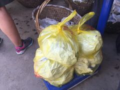 -马陆小张葡萄园农家乐