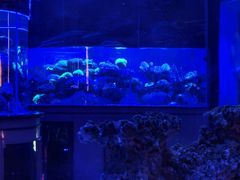 -上和臻品中国菜(花园街店)