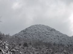-武陵山森林公园