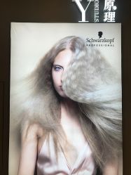 -Y-STUDIO原理