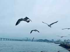 -星海广场