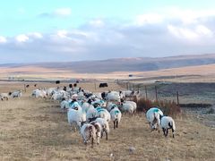 -青海湖国家重点风景名胜区