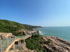-广东惠东海龟国家级自然保护区