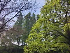 -瀛洲公园