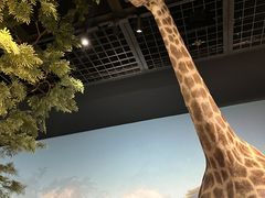 -陕西自然博物馆