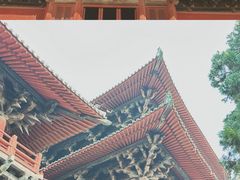 -隆兴寺