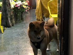 -花满楼(启秀路店)