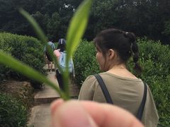 -西湖风景区十里琅珰-五云山