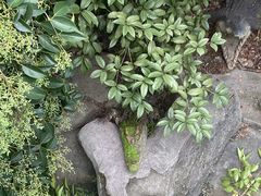 -常州淹城野生动物世界