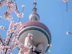-中山公园