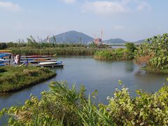 -芒洲湿地公园