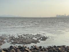 -深圳湾公园(南山区)