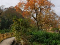 -塔川景区