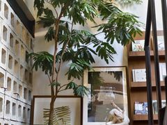 -自由生长植物工作室(深港花卉中心店)